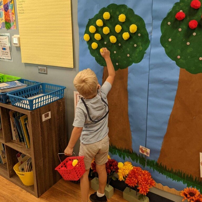 A young boy picks yellow pom-poms off a tree-themed classroom activity wall.