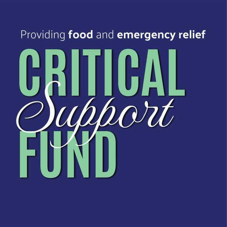 Critical support fund