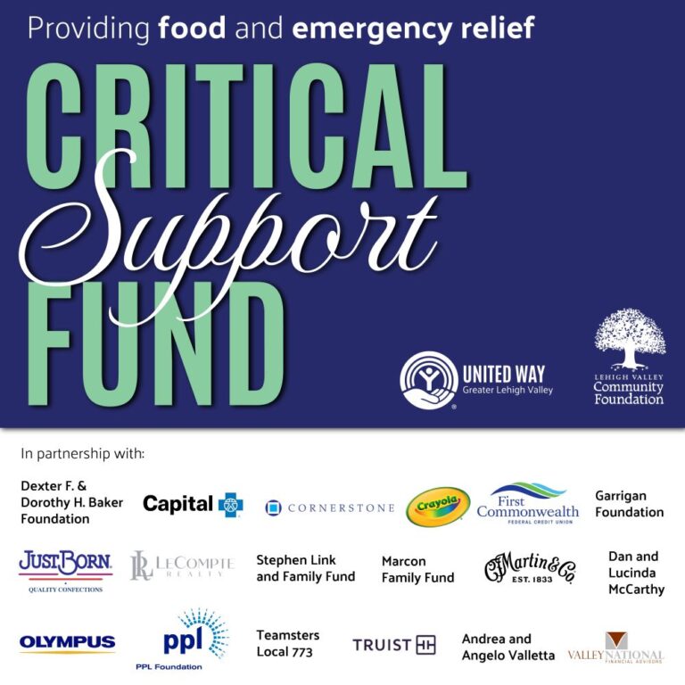 Critical Support Fund