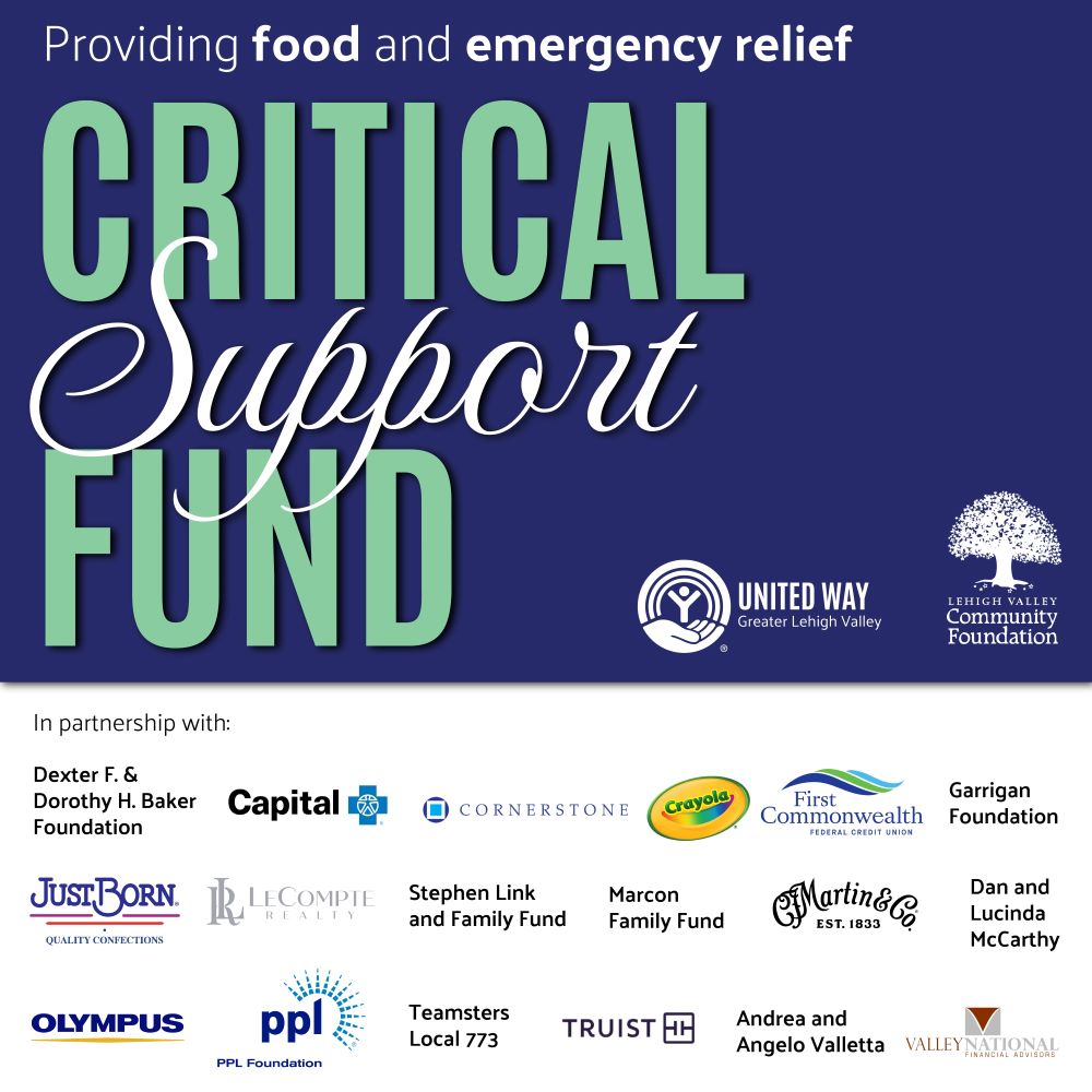 Critical Support Fund