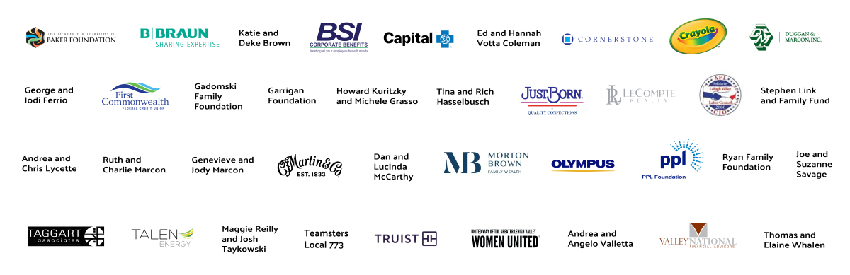 Critical Support Fund - Funding Partners