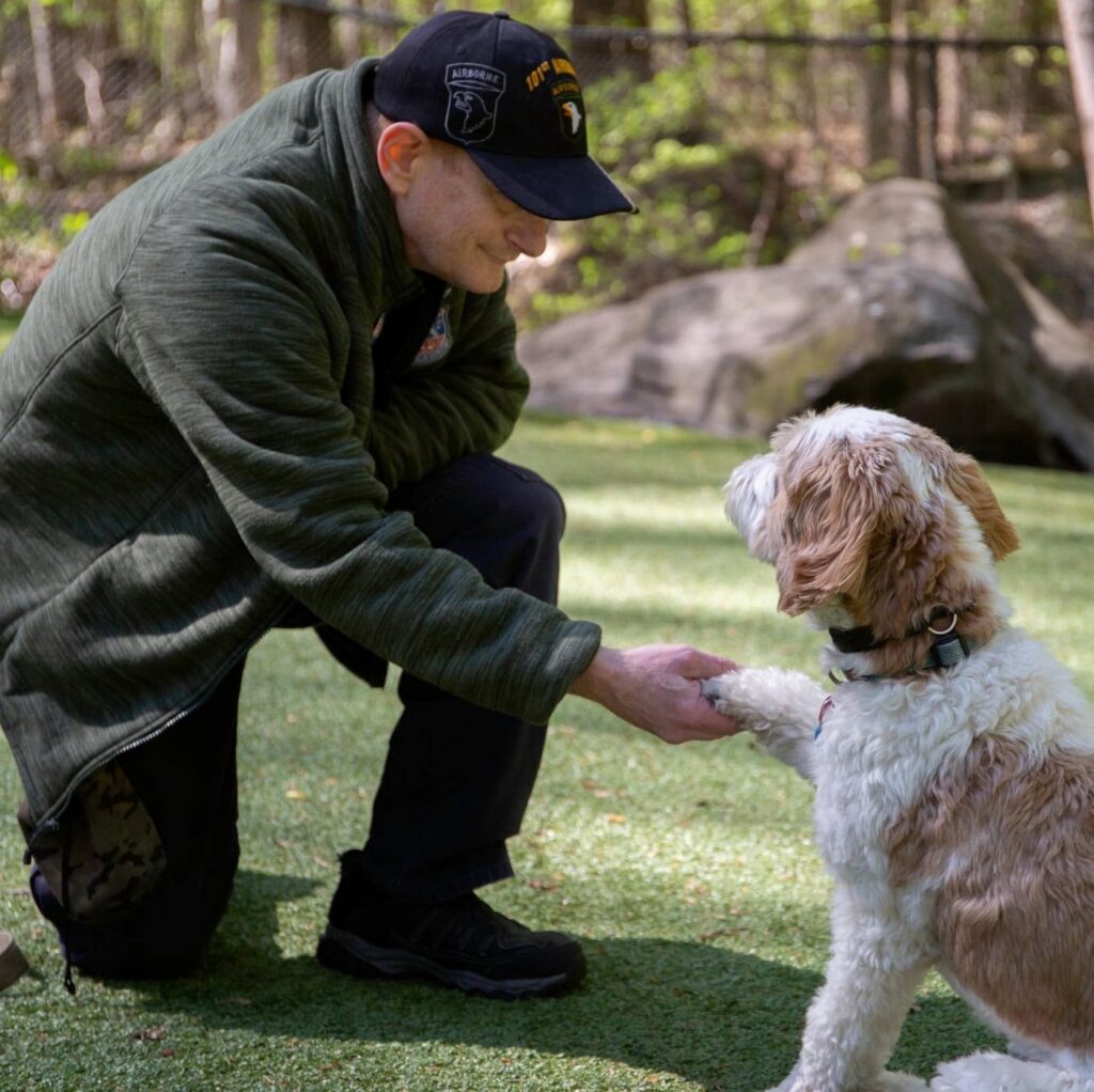 Tails of Valor: A Mission Rooted in Resilience